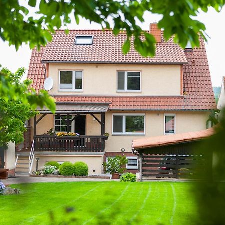 Ferienhaus Og1 "Westerwald Blick" 马丁菲尔德 外观 照片