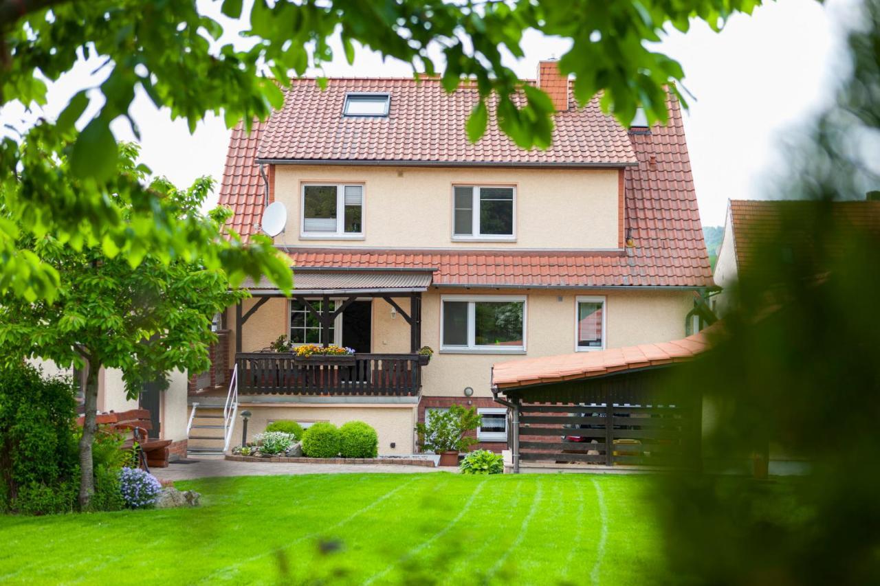 Ferienhaus Og1 "Westerwald Blick" 马丁菲尔德 外观 照片