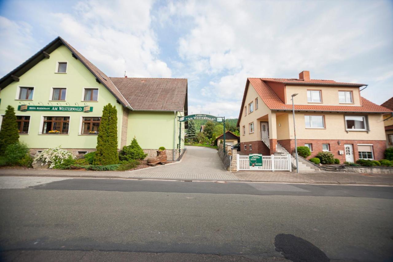 Ferienhaus Og1 "Westerwald Blick" 马丁菲尔德 外观 照片