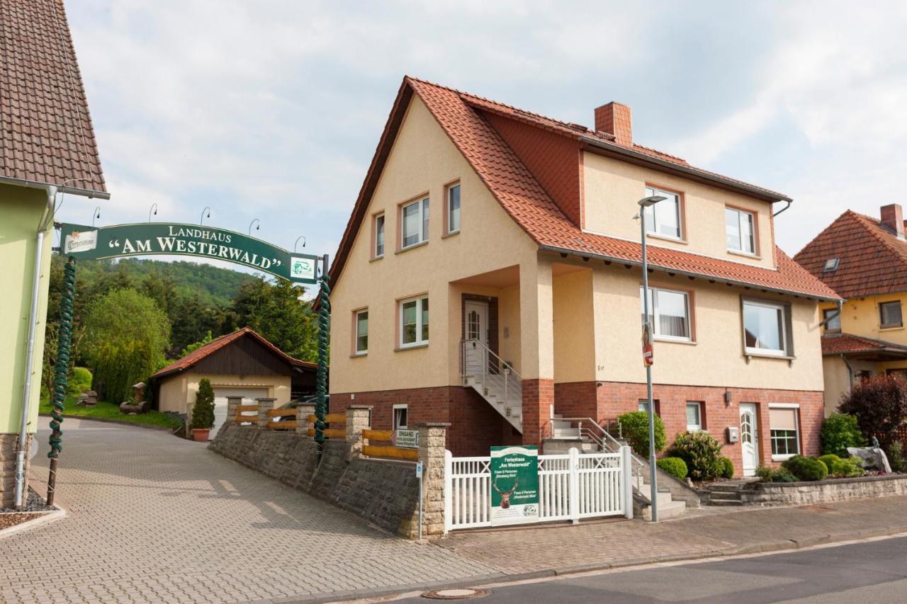 Ferienhaus Og1 "Westerwald Blick" 马丁菲尔德 外观 照片