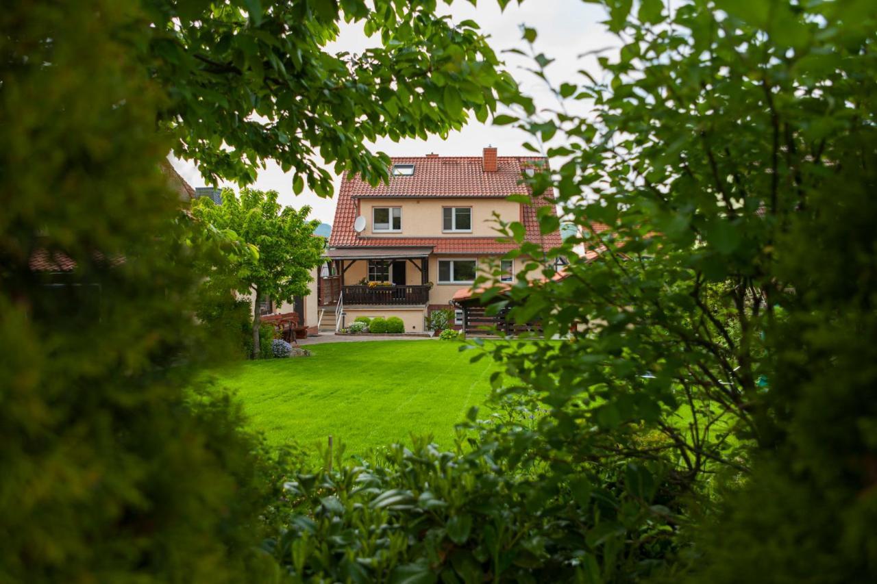 Ferienhaus Og1 "Westerwald Blick" 马丁菲尔德 外观 照片