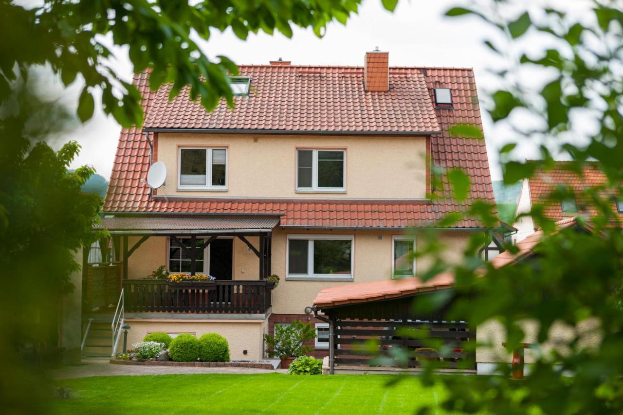 Ferienhaus Og1 "Westerwald Blick" 马丁菲尔德 外观 照片